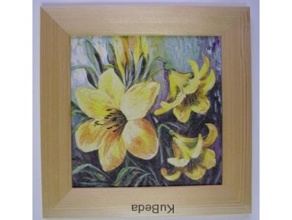 Obrázek č.81 Narcisy