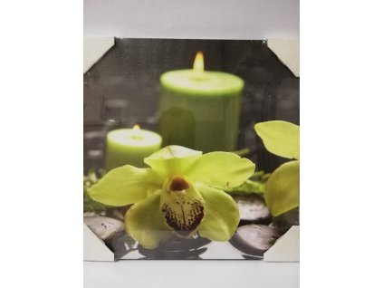 Obraz na desce 30 x 30 cm Kameny s orchidejí 1