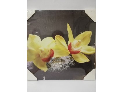 Obraz na desce 30 x 30 cm Kameny s orchidejí 2
