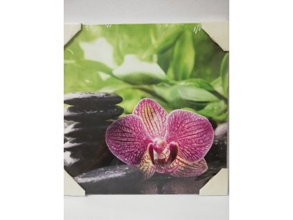 Obraz na desce 30 x 30 cm Kameny s orchidejí 3