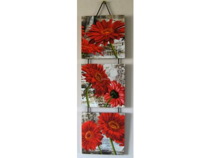 Závěsný trio obraz na desce Červené gerbery