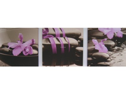 Trio obraz na plátně Fialové květy