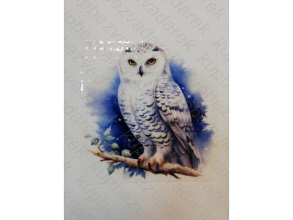 Nažehlovací obrázek na folii Sova 9 x 8,5 cm