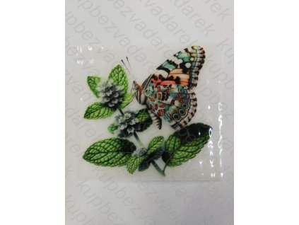 Nažehlovací obrázek na folii Motýl č.1 6 x 6 cm