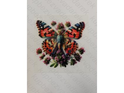 Nažehlovací obrázek na folii Motýl č.3 6 x 6 cm