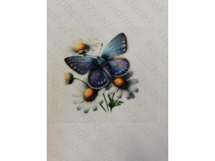 Nažehlovací obrázek na folii Motýl č.5 6 x 6 cm