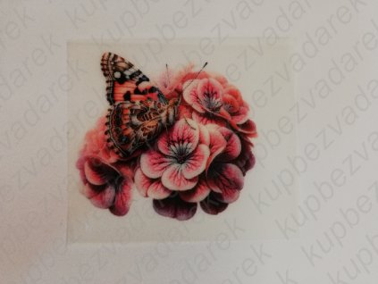 Nažehlovací obrázek na folii Motýl č.6 6 x 6 cm