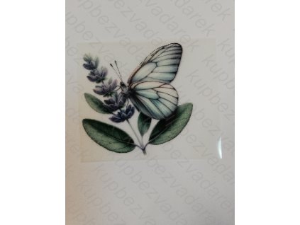 Nažehlovací obrázek na folii Motýl č.7 6 x 6 cm