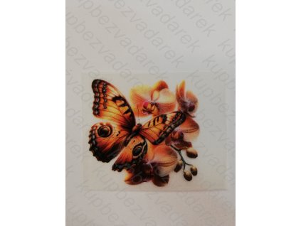 Nažehlovací obrázek na folii Motýl č.9 5,5 x 6 cm
