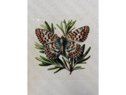 Nažehlovací obrázek na folii Motýl č.13 6 x 6 cm