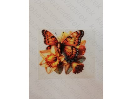 Nažehlovací obrázek na folii Motýl č.14 6 x 6 cm