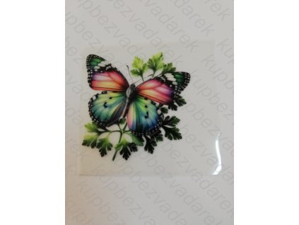 Nažehlovací obrázek na folii Motýl č.16 6 x 6 cm