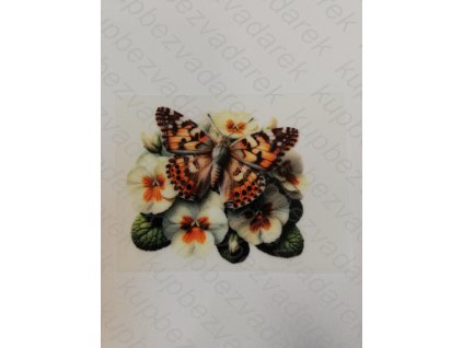 Nažehlovací obrázek na folii Motýl č.17 6 x 5 cm