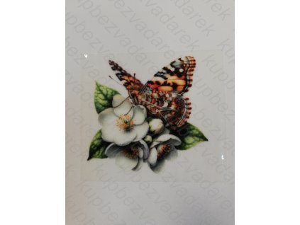Nažehlovací obrázek na folii Motýl č.20 6 x 6 cm