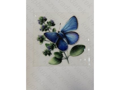 Nažehlovací obrázek na folii Motýl č.21 6 x 6 cm