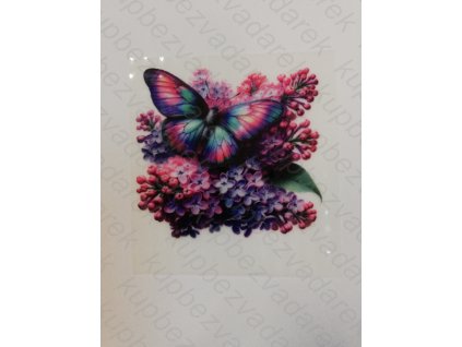 Nažehlovací obrázek na folii Motýl č.23 6 x 6 cm