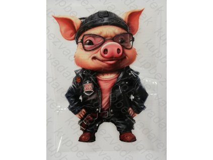 Nažehlovací obrázek na folii Prase motorkář č.1 25 x 17 cm