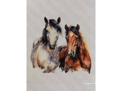 Nažehlovací obrázek na folii Koně 16,5 x 17 cm