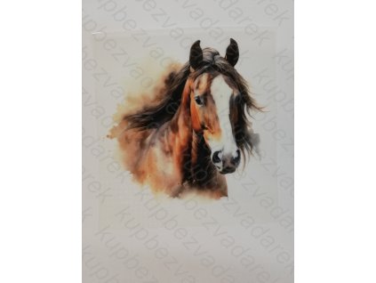 Nažehlovací obrázek na folii Kůň č.1 18 x 19 cm