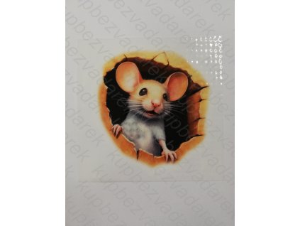Nažehlovací obrázek na folii Myš č.1 13,5 x 13 cm