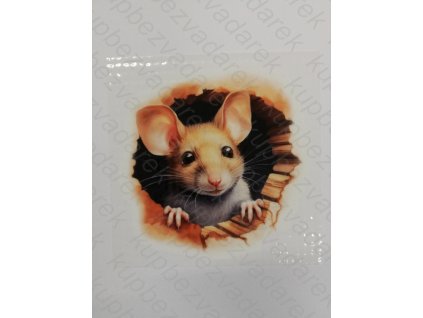 Nažehlovací obrázek na folii Myš č.2 12,5 x 12 cm