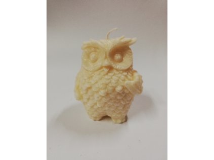 1719405678IMG 20230514 145043