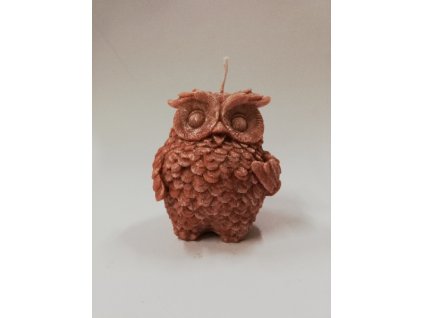 1719070745IMG 20230510 093522