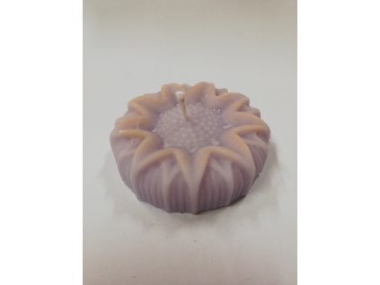 1719155969IMG 20230512 125640