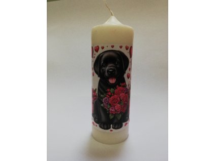 1719323137IMG 20240205 102739