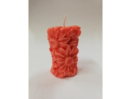 1719067536IMG 20230510 124232 (1)