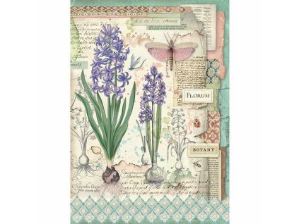 vyr 2041369 DFSA4363 1