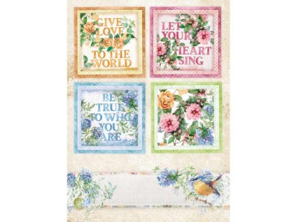 vyr 2040499 DFSA4418 1