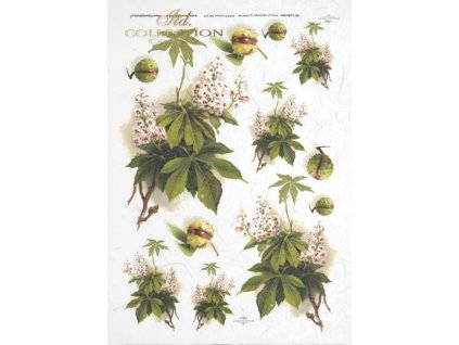 Rýžový papír A4 pro tvoření Kaštany R322