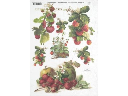 Rýžový papír A4 pro tvoření Ovoce R394