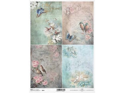 Rýžový papír A4 pro tvoření Motýl, písmo, ptáci R979