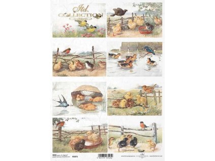 Rýžový papír A4 pro tvoření Kuřátka, pole, jaro R1071