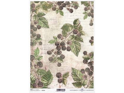 Rýžový papír A4 pro tvoření Ostružiny R1256