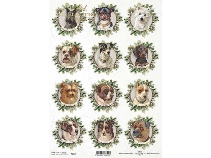 Rýžový papír A4 pro tvoření Pejskové v jehličí R2275