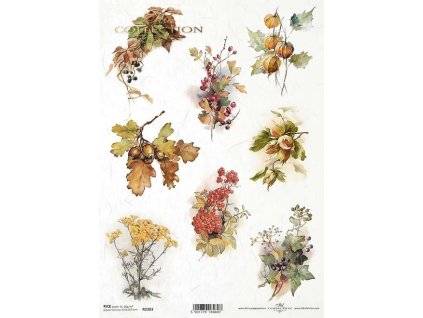 Rýžový papír A4 pro tvoření Podzimní plody R2303