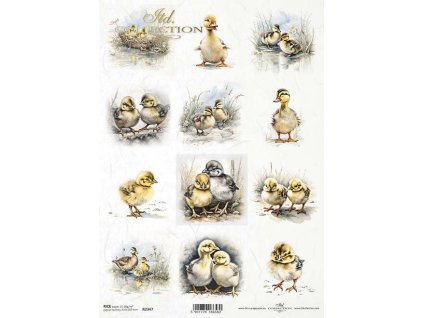 Rýžový papír A4 pro tvoření Kachny, káčata R2347