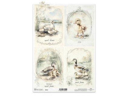 Rýžový papír A4 pro tvoření Jaro, kachna R2564