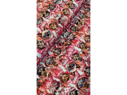 Bavlněná teplákovina šíře 180cm - Kočky s kapucou (50cm)