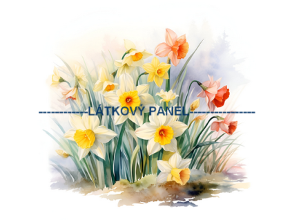 KB KYT 427v