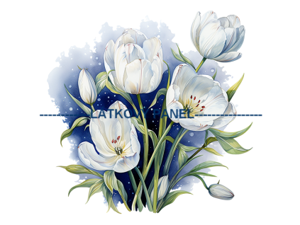 KB KYT 656v