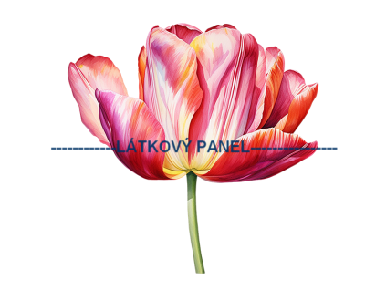 KB KYT 681v