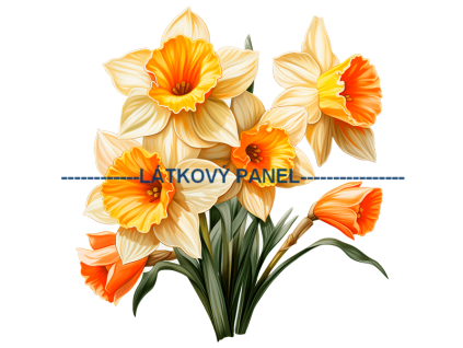 KB KYT 731v