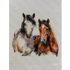 Nažehlovací obrázek na folii Koně 16,5 x 17 cm