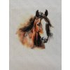 Nažehlovací obrázek na folii Kůň č.1 18 x 19 cm
