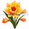 KB KYT 732v