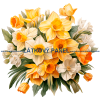 KB KYT 737v